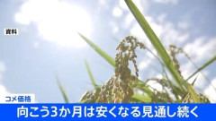 【朗報】コメ価格､向こう3か月は安くなる見通し
