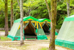 【悲報】43歳男さん、キャンプ場で10代女性の靴下や中敷きを盗み逮捕