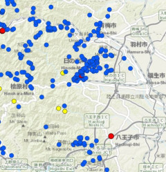 【悲報】クマさん、都内住宅街に現れる