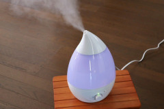 買った加湿器をリビングで使っていたが、最近は使わずに放置していた→そしたら弟が父に許可をもらって、自室に持って行ってしまった。