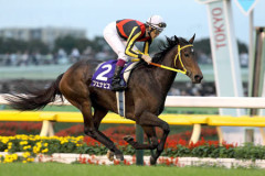 さて今年こそブエナビスタは顕彰馬になれるのか