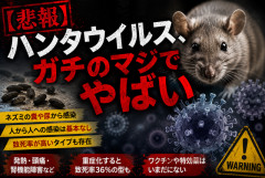 【悲報】コロナの次はハンタウイルス？ネット民ざわつく…