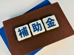 政府、家計支援として補助金を支給か　電気・ガス代などの上昇は避けられない模様