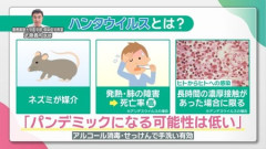 【悲報】ハンタウイルス、拡散開始
