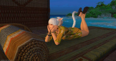 【FF14】姫ちゃんから野太い声が！？「FF14のバトルシステムだとチャットする余裕がないからVCを導入すべき」という意見