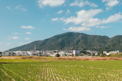 田舎のババアが作る料理