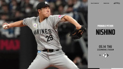 一軍試合実況　5月14日18:00～ ロッテ－日本ハム(西野×細野)