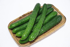きゅうりなんか大漁にあったらぶつ切りにしてジップロックに入れて麺つゆと辛子入れて揉めば浅漬になる