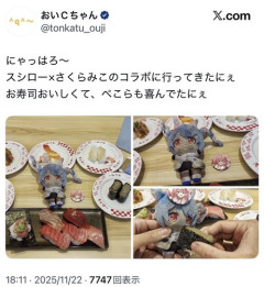 【悲報】ぼく、ぬい活とかいう奇行の存在を知り戦慄