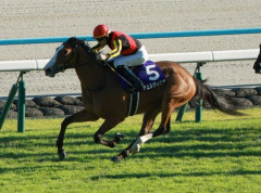 【競馬予想】[3]第21回ヴィクトリアマイル(GⅠ) /2026