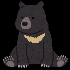 八王子の小学校、住宅地付近でツキノワグマが出没　住民設置のカメラに成獣1頭写る　近くに大規模霊園も