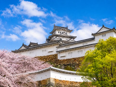 【来るなってこと？】 日本でオーバーツーリズム理由に観光客への値上げ相次ぐ＝韓国ネット「仕方ない」