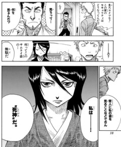 【BLEACH】一心本当に見えなかったのかな