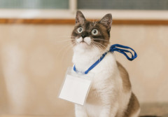 社外で社員証ぶら下げてる奴って何者なんや…？