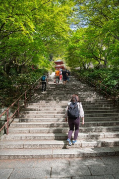 散歩が趣味のやつおる？