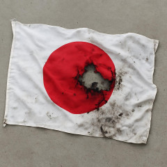 国旗損壊罪、動画投稿も処罰 拘禁２年以下、自民が法案骨子案―慎重論続出、了承見送り   |  なんで？損壊しなければいいだけなのでは？  |  結局岩屋が正しかったって事か