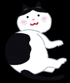 【ほのぼの】愛猫にゃん太は触られるのも嫌がるので嫌われてると思ってたが今あの時の行動の意味を知って自分は猫”に”可愛がられてたんだとわかった