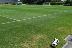 【悲報】サッカーW杯、『完全終了』のお知らせ・・・・・・
