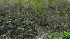 「クマ鈴なんて役に立たない」　クマの興奮度が生死左右　交尾期や山菜盛期、危険高まる5月