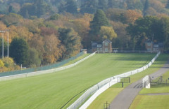 【悲報】2000ギニー馬Bow Echoさん、忖度レーティングを獲得してしまう