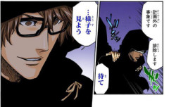 【BLEACH】全て私の掌の上だぞ黒崎一護