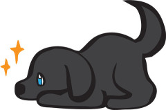 【画像】子犬さん、真っ黒ｗｗｗｗｗｗｗｗｗｗｗｗｗｗｗｗ