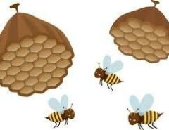 【助けて】玄関先で蜂が巣作りをしてる
