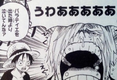 ルフィの冷静なツッコミ好き