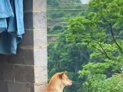 可愛い「大、中、小」です…