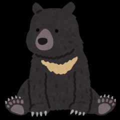 【悲報】東京のクマサン、最大378頭が生息！府中市まで移動可能ｗｗｗｗ