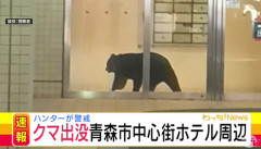 【青森】青森市中心部の商業施設にクマ侵入