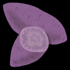【相談】芋ご飯が食べたくて買った芋が紫芋だった。これでは食欲減退パープルライスができそう…何に使おう？