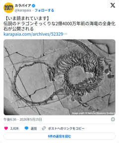 【画像】2億4000万年前の海竜の全身化石、完全にドラゴンで草