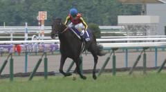 クロワデュノールは宝塚記念で3億円の褒賞金にトライ　引き続き北村友一騎手とのコンビ