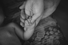 「ずっとこの子といたかった」「ごめんね、大好きだよ」自宅の冷凍庫に死産した子供の遺体を遺棄した女を逮捕