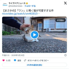 【動画】猫さん、しっかり「ワン」と鳴いた後に何食わぬ顔をしてしまう
