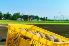野球詳しくないけど、野球に体力必要なくね？