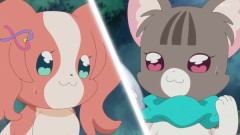 『わんだふるぷりきゅあ！』40話感想 いろはとまゆが犬と猫になるハプニング！