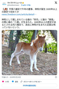 【朗報】平塚八幡宮さん、1600年以上の歴史で初めて神馬が誕生してしまう