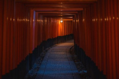 旅行、大して面白くない