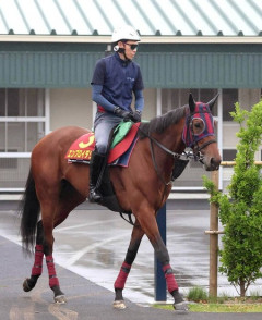【ヴィクトリアＭ】 エンブロイダリーが2倍ついてるのやばいだろ　普通1.6倍くらいじゃね