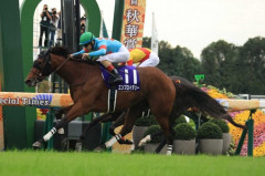 【競馬予想】[5]第21回ヴィクトリアマイル(GⅠ) /2026
