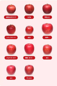 貼られた画像内で一番好きなのを発表するトピ