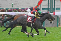 【ヴィクトリアマイル】キズナ三女神が馬券圏内を独占する！