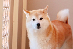 【朗報】バルミューダの時計、想定以上の受注で予約待ち1カ月以上