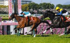 【ヴィクトリアマイル】エンブロイダリー信用していいの？
