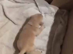 私は生まれたばかりの赤ちゃんのお世話で大変だった。あなたは本当に気が利かないわね → 旦那はこんな様子です…