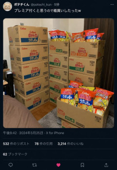 【画像】転売ヤーさん、色付きポテトチップスを箱買いしてしまう