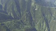【奥多摩】登山中の男性がクマに襲われ重傷