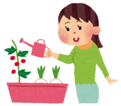 【やべえ地域】庭先に花を植えているが知らない人からよくクレクレされる。中でも酷いのが宅配業者が我が家に配送も無いのに仕事中に寄ってクレクレしてきたこと…